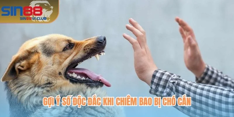 Gợi ý số độc đắc khi chiêm bao bị chó cắn