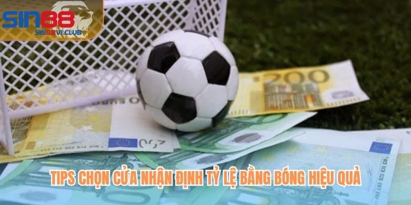 Tips chọn cửa nhận định tỷ lệ bằng bóng hiệu quả